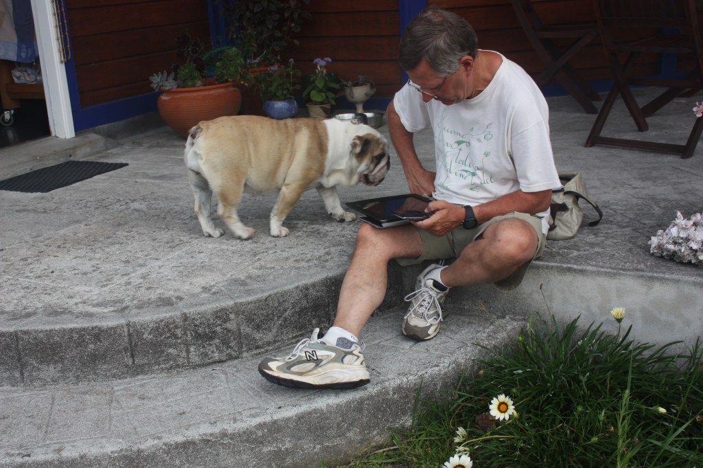 Reading Fuso with a Mexican dog