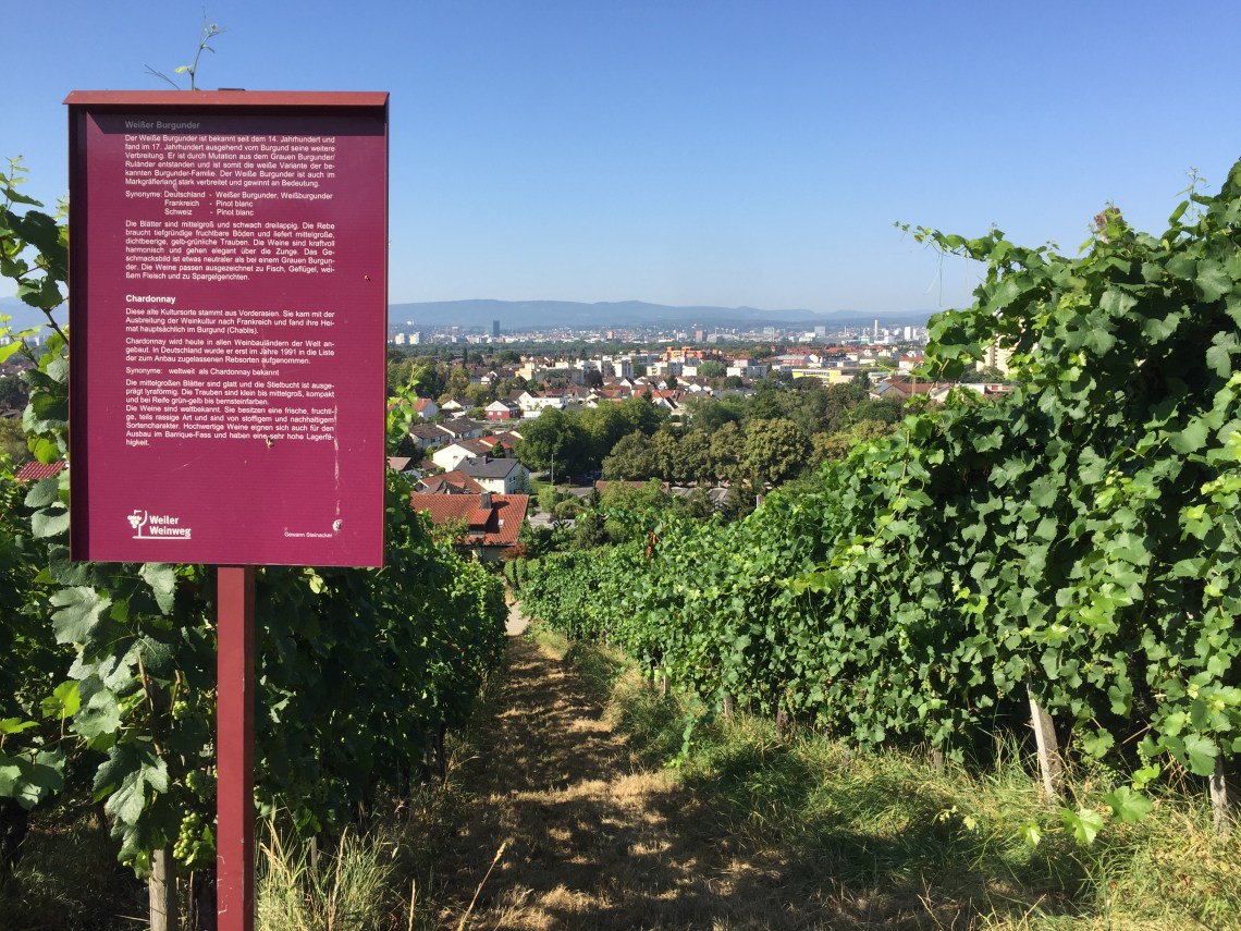 Il percorso d’arte della Rehberger-Weg - Le Vigne