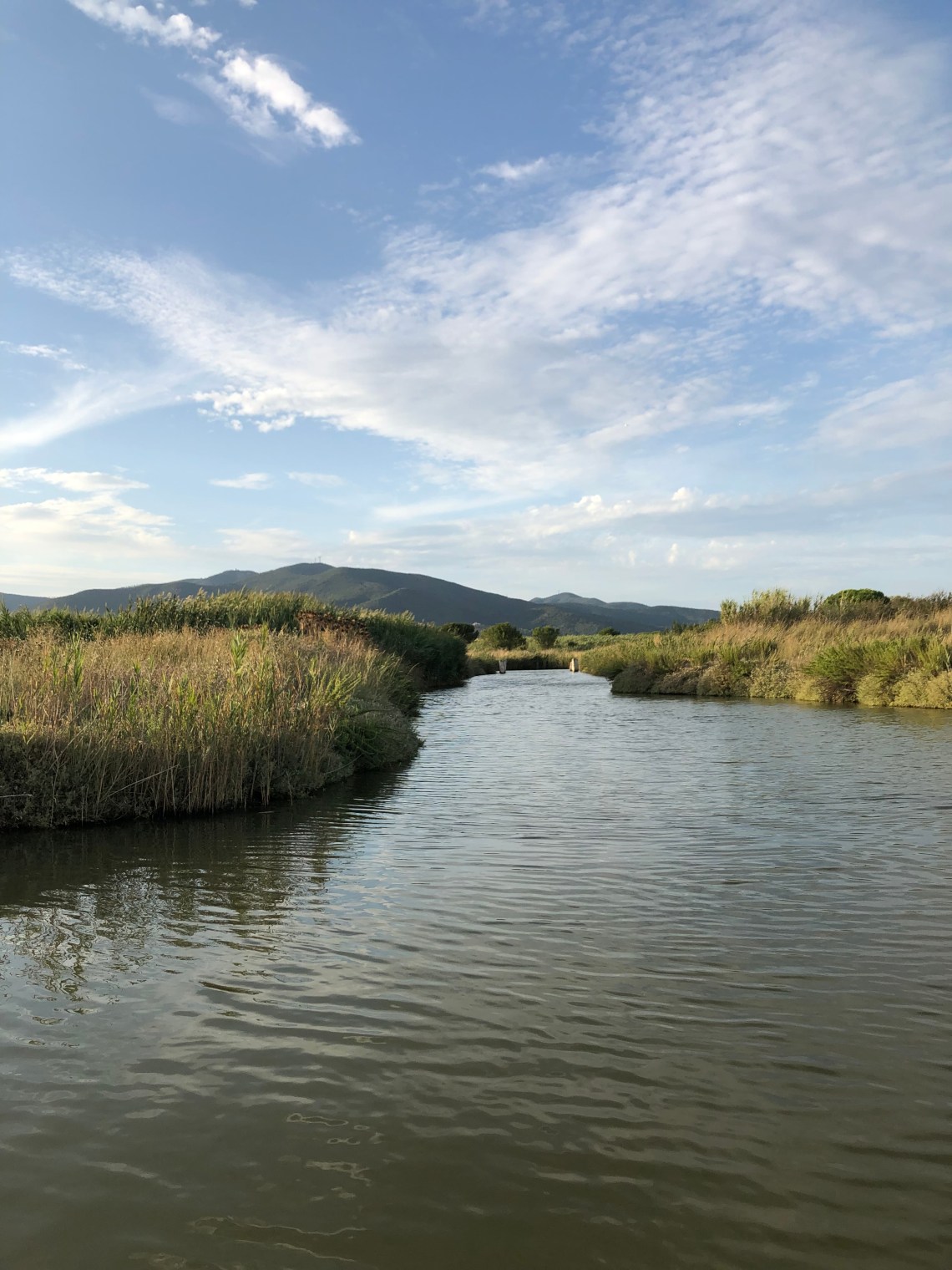 Il Canale Molla nella Riserva Naturale Diaccia Botrona